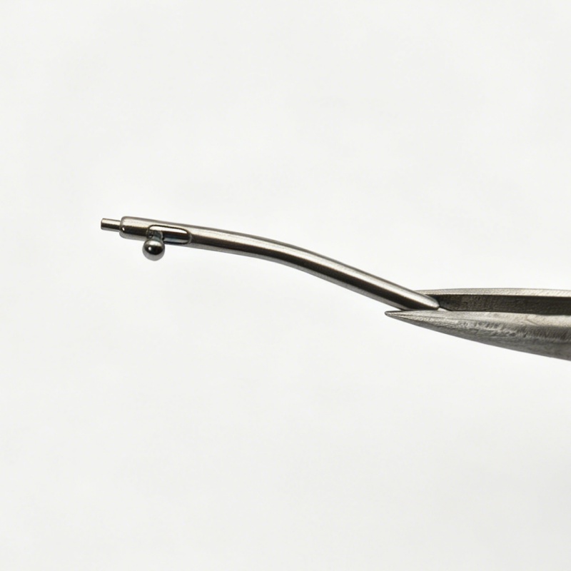 Watch Repair Parts Curved Quic - Curved Spring Bar review and price